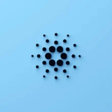 Cardano Summit Canceled After Treasury Funding Fails