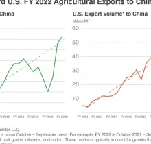 China agrees to purchase $17B of agricultural goods annually from US through 2028
