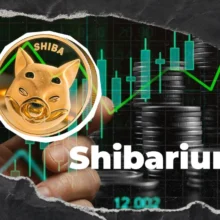 Shiba Inu: Shibarium Activity Returns With 100% Transaction Rise, but Is It Enough?