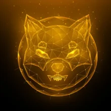 Shiba Inu (SHIB) Rallies Past $0.000005: Will ETF Launch Soon Catalyze Price Breakout?