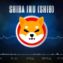 Shiba Inu (SHIB) Key Bullish Metric Just Spikes 20%, but There's Silver Lining