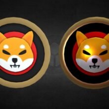 Binance Proof of Reserves Reveals 1.1 Trillion SHIB Drop as Exchange Balances Shift