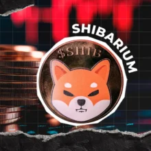 Shibarium Goes Quiet as Shiba Inu Awaits Catalyst