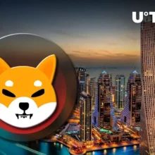 Big Win for SHIB: Dubai Airline Opens Crypto Bookings With Shiba Inu, 29 Other Coins