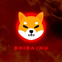 Shiba Inu (SHIB) Loses 65% of Daily Exchange Outflows