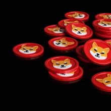 Shiba Inu (SHIB) Team Says Experiment Continues Amid Price Surge