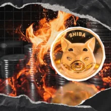 24.38 Million Shiba Inu Gone Amid 3,607% Surge in Burn Rate