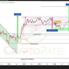 Solana Whale Wallet Count Declines 3.6% Since May