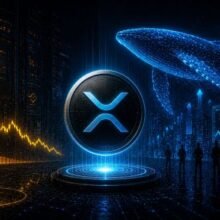 Binance Auto-Burn Destroys 1.6M BNB Worth $932M