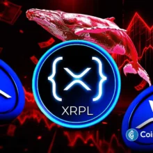 XRP News: XRP Ledger Records Massive Drop in Whale Activity amid 7.18M ETF Outflows