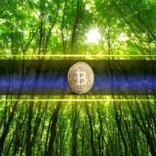 Strive Buys Another 79 BTC, Bringing total to 20,000
