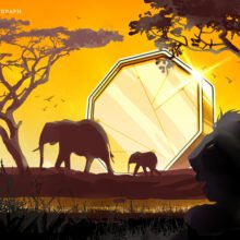 Zimbabwe admits seven fintech projects to regulatory sandbox