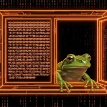 I Scanned the Entire Bitcoin Blockchain for Images. What I Found Will Shock You