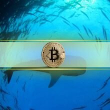 Only 90 Bitcoin Wallets Hold 10K+ BTC: And That Number Just Hit a 6-Month High