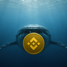 Binance Coin: Can a $8.5M whale position keep BNB above $700?