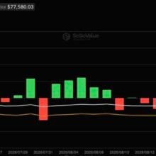 Bitcoin ETFs Snapped a 9-Day Streak: Does One Bad Day Mean Anything?