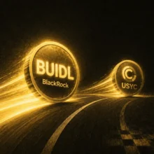 BlackRock’s BUIDL outpaces Circle’s USYC – Tokenized treasury race heats up