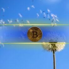 Everything Went Against Bitcoin This Week – So Why Is BTC Back Above $80K?