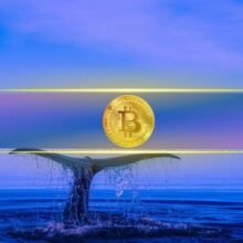 Bitcoin’s Biggest Holders Ramp Up Buying While Retail Traders Remain Flat