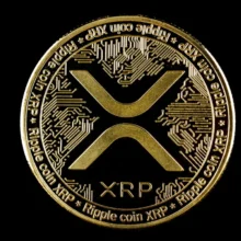 1.1 Million XRP Ledger Payments: What Pushes It So High?