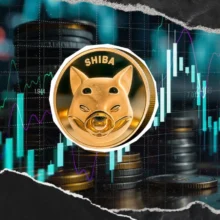 144 Billion SHIB Netflow Sends Warning Amid 5% Price Rally