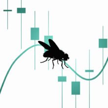 A ‘fly’ is now trading crypto and is only down 1%