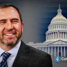Ripple CEO Blames Democratic Politics for CLARITY Act Failure, Promises Post-Mortem