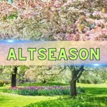 This Signal Has Flipped to Altcoin Season as Crypto Rally Spreads Beyond Bitcoin