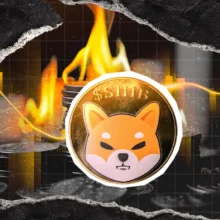Over 31,000% Shiba Inu Burn Rate Surge Ignites 72.23 Million SHIB Tokens