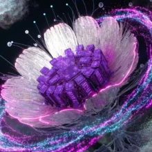 ASTER’s 6% hike finds support in Bitcoin’s $82K stand, but will the long-term trend change?