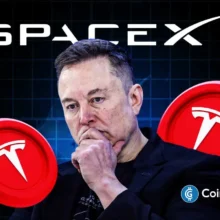 SpaceX Stock Price Forecast as Shares Near 3-Month High Amid Rising Tesla Merger Odds